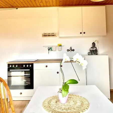 Zenhouseapartment *