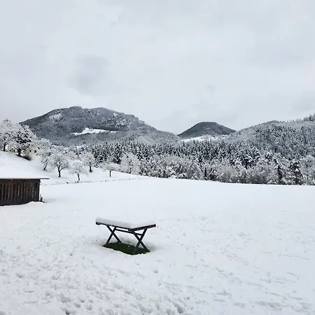 Apartament Zenhouseapartment *