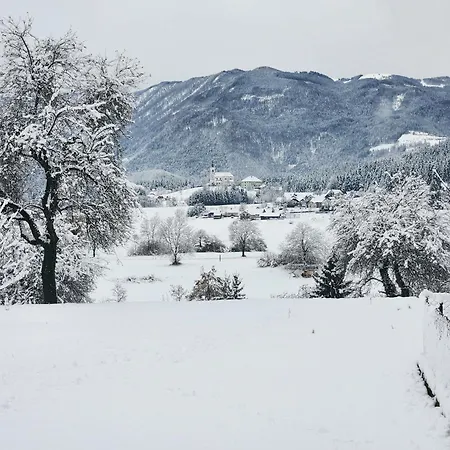 Apartament Zenhouseapartment