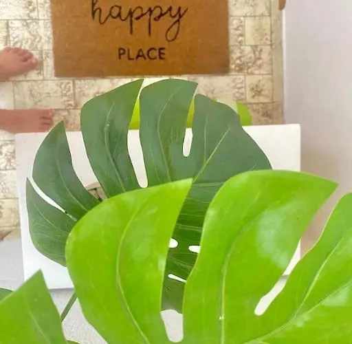 Apartamento Zenhouseapartment Ljubno